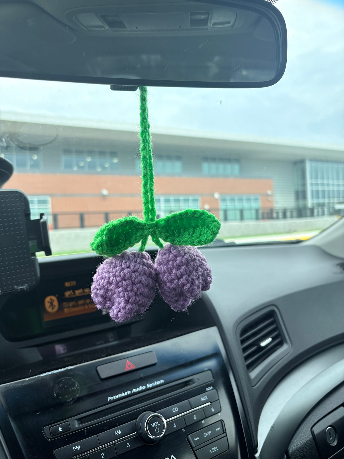 tulip car hanger